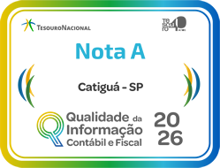 Selo de Qualidade da Informação Contábil e Fiscal 2026 - Tesouro Nacional Selo de Qualidade da Informação Contábil e Fiscal 2026 - Tesouro Nacional
